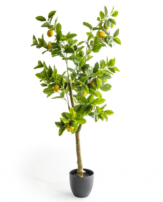 Dirbtinis augalas "LEMON TREE"